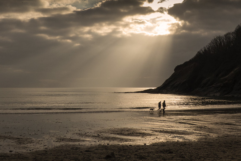 Porthluney Beach (Caerhays Beach)
